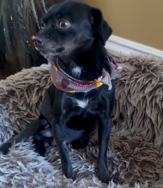 Forrest Misses His Family — Help Him Heal From the Loss